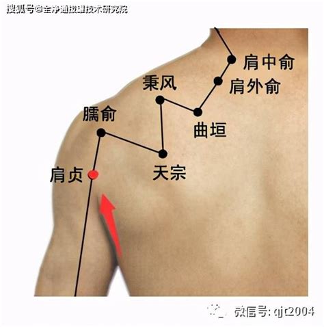 中平穴|中平穴（肩周穴,肩痛穴）位位置图